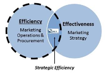Marketing Procurement Best Practices, Surge Consulting